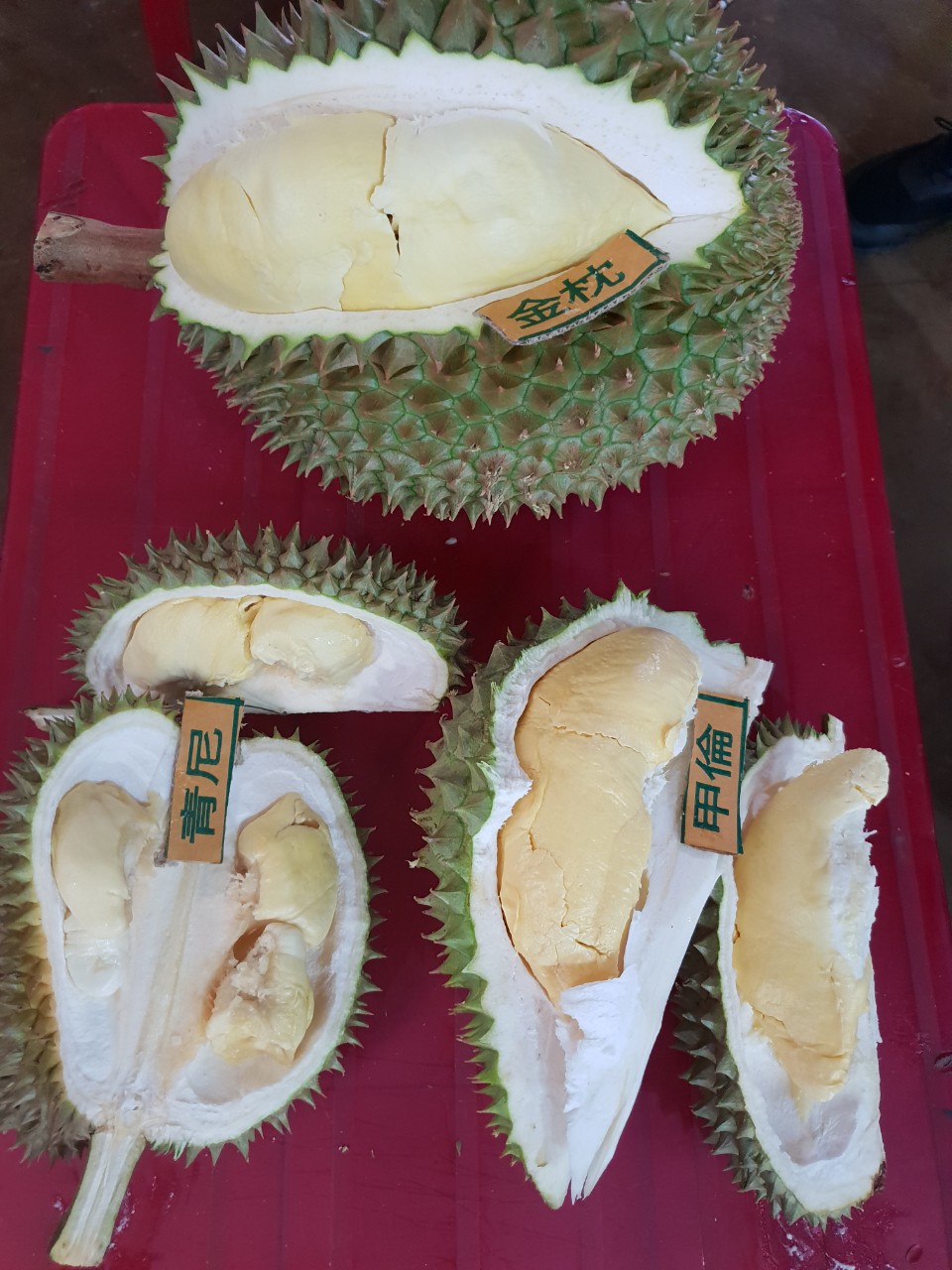 Jem durian